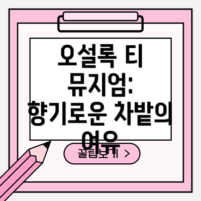 오설록 티 뮤지엄: 향기로운 차밭의 여유