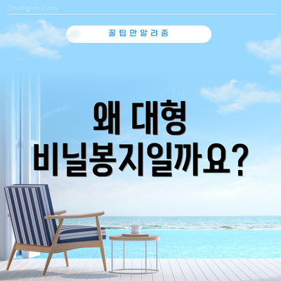 왜 대형 비닐봉지일까요?
