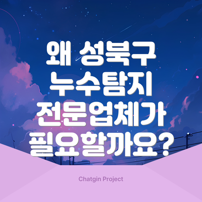 왜 성북구 누수탐지 전문업체가 필요할까요?