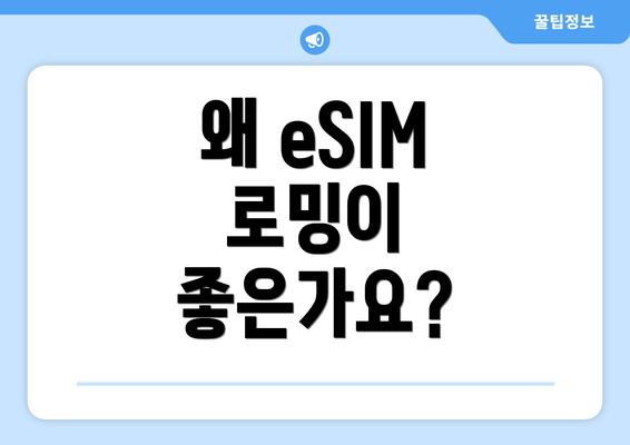 왜 eSIM 로밍이 좋은가요?