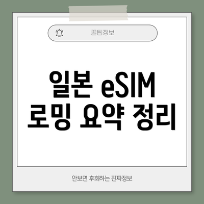 일본 eSIM 로밍 요약 정리