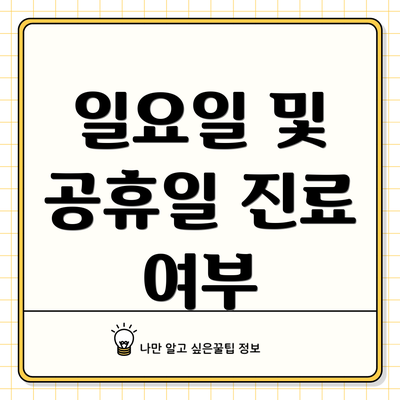 일요일 및 공휴일 진료 여부