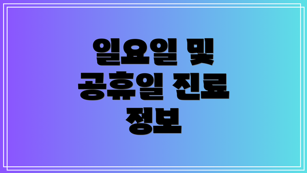 일요일 및 공휴일 진료 정보