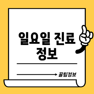 일요일 진료 정보