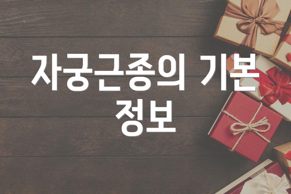 자궁근종의 기본 정보