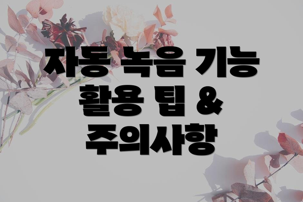 자동 녹음 기능 활용 팁 & 주의사항