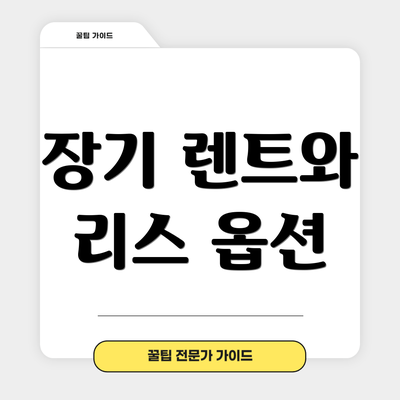 장기 렌트와 리스 옵션