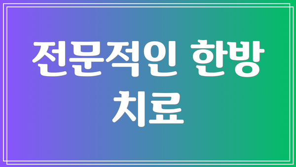 전문적인 한방 치료