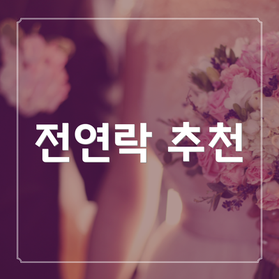 전연락 추천
