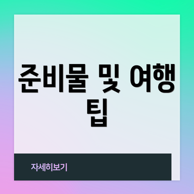 준비물 및 여행 팁
