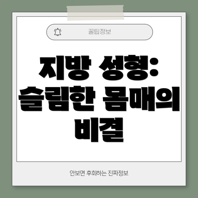 지방 성형: 슬림한 몸매의 비결