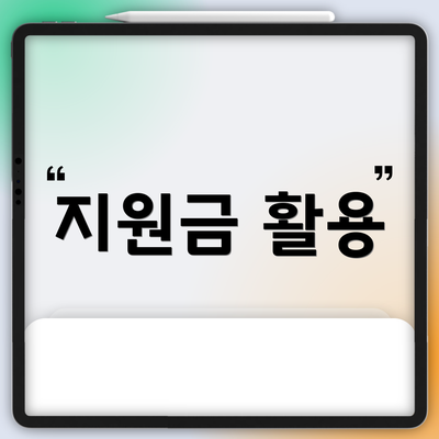 지원금 활용