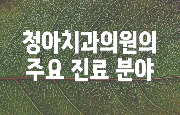 청아치과의원의 주요 진료 분야