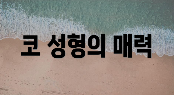 코 성형의 매력