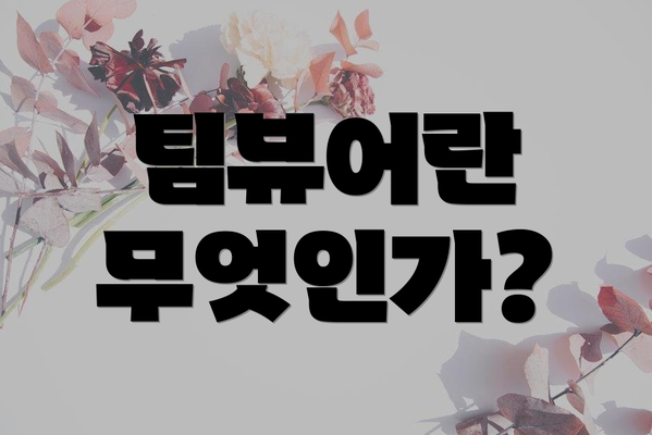 팀뷰어란 무엇인가?