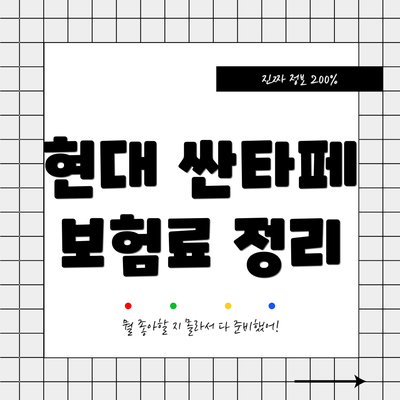 현대 싼타페 보험료 정리