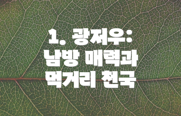 1. 광저우: 남방 매력과 먹거리 천국