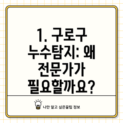1. 구로구 누수탐지: 왜 전문가가 필요할까요?
