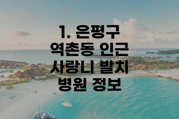 1. 은평구 역촌동 인근 사랑니 발치 병원 정보