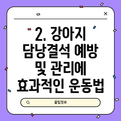 2. 강아지 담낭결석 예방 및 관리에 효과적인 운동법