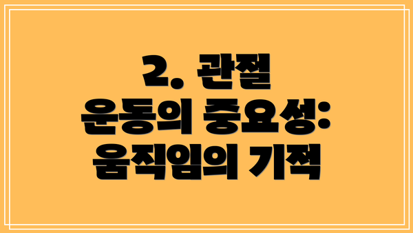 2. 관절 운동의 중요성: 움직임의 기적