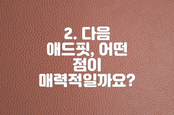2. 다음 애드핏, 어떤 점이 매력적일까요?