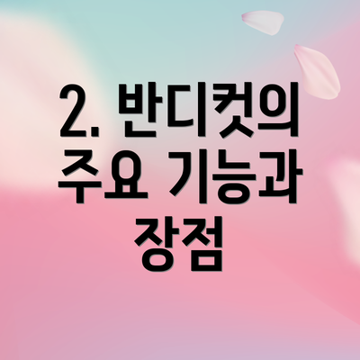 2. 반디컷의 주요 기능과 장점