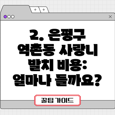2. 은평구 역촌동 사랑니 발치 비용: 얼마나 들까요?
