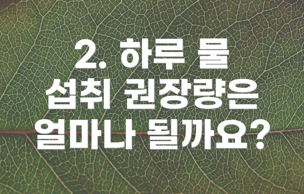 2. 하루 물 섭취 권장량은 얼마나 될까요?