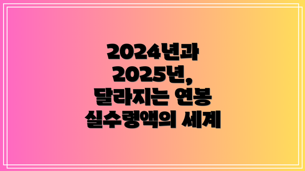 2024년과 2025년, 달라지는 연봉 실수령액의 세계