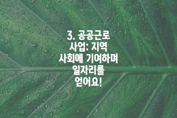 3. 공공근로 사업: 지역 사회에 기여하며 일자리를 얻어요!
