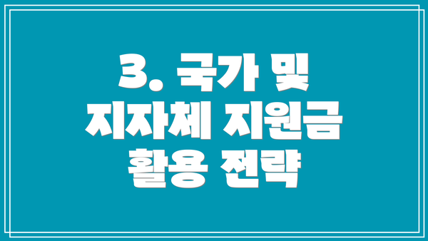 3. 국가 및 지자체 지원금 활용 전략