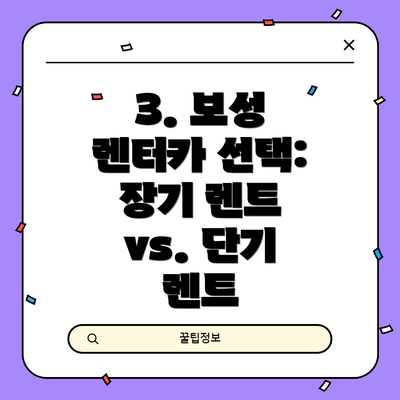 3. 보성 렌터카 선택: 장기 렌트 vs. 단기 렌트