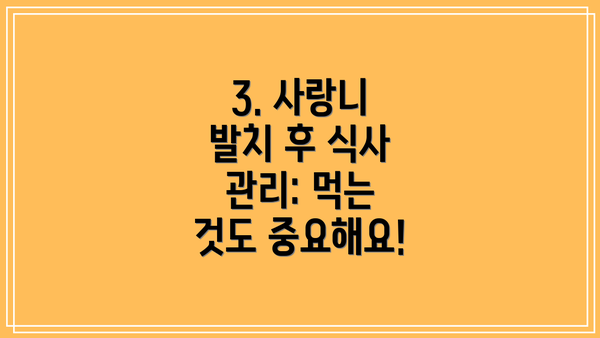 3. 사랑니 발치 후 식사 관리: 먹는 것도 중요해요!