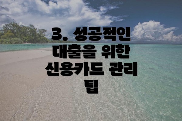 3. 성공적인 대출을 위한 신용카드 관리 팁