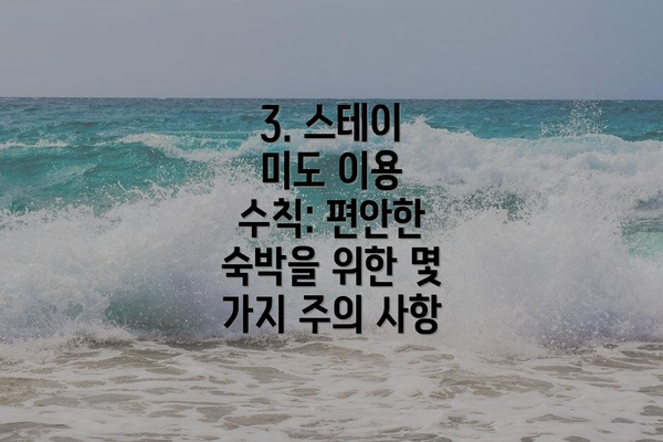 3. 스테이 미도 이용 수칙: 편안한 숙박을 위한 몇 가지 주의 사항