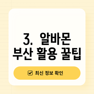 3.  알바몬 부산 활용 꿀팁