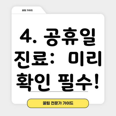 4. 공휴일 진료:  미리 확인 필수!