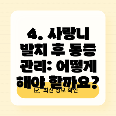 4. 사랑니 발치 후 통증 관리: 어떻게 해야 할까요?