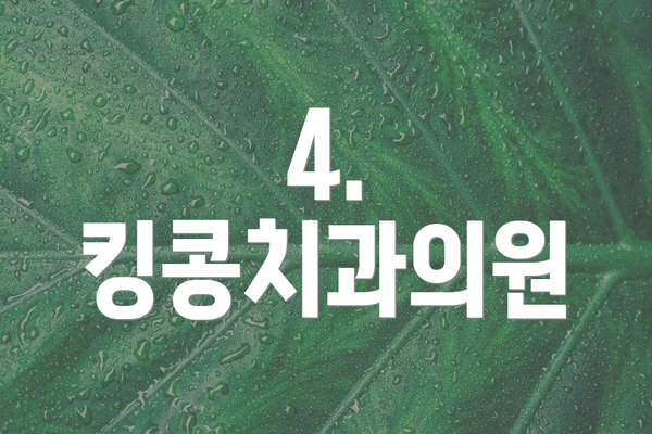 4. 킹콩치과의원