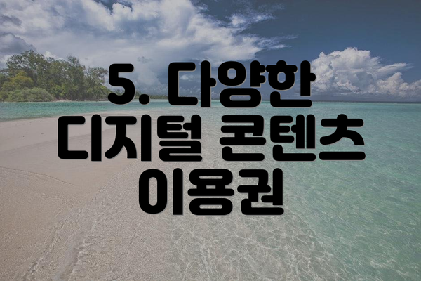5. 다양한 디지털 콘텐츠 이용권