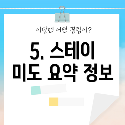 5. 스테이 미도 요약 정보
