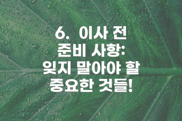 6.  이사 전 준비 사항: 잊지 말아야 할 중요한 것들!
