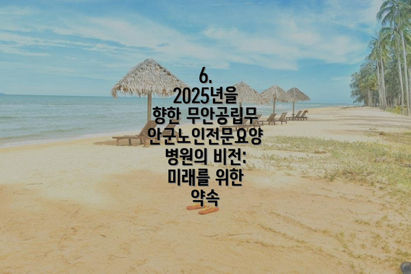 6.  2025년을 향한 무안공립무안군노인전문요양병원의 비전:  미래를 위한 약속