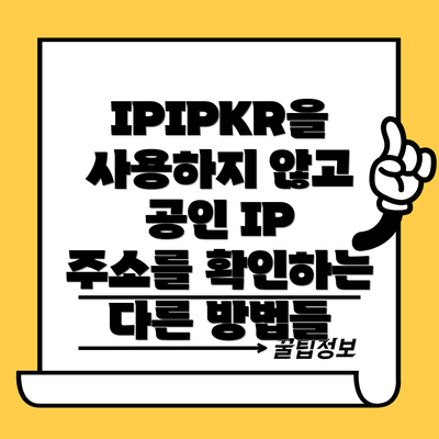 IPIPKR을 사용하지 않고 공인 IP 주소를 확인하는 다른 방법들