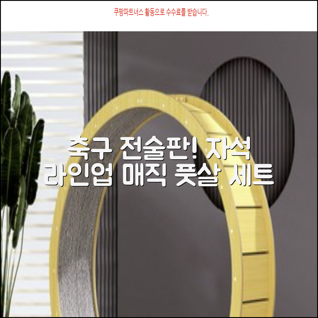 축구 작전판 휴대용 자석 전술 보드 라인업 전략 풋살 전술판 파우치형 세트, 1개 추천 리뷰