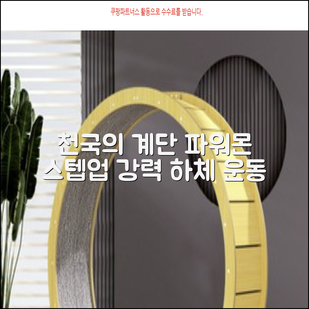 파워몬 천국의계단 스텝업 스텝퍼 스텝밀 에어 클라이머 계단오르기 홈트 실내 하체 운동기구, 파워몬 스텝업 추천 리뷰