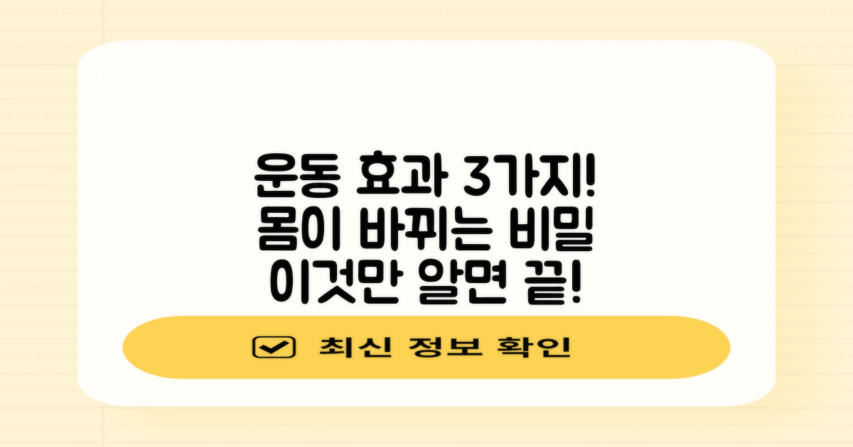 3가지 운동 효과